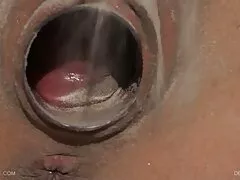 ニジェールは穴に白い雌犬を置く エッチ 動画 女の子 向け